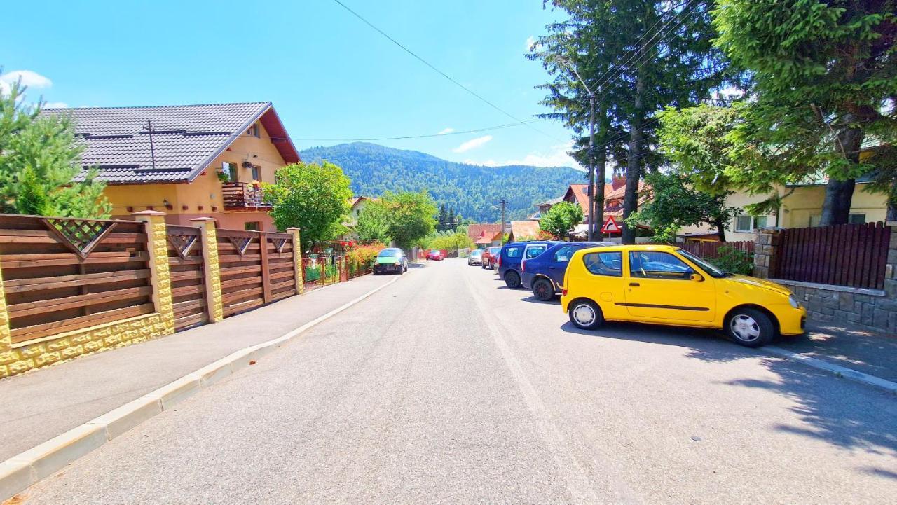 Casa Cu Brazi Hotel Buşteni Екстериор снимка